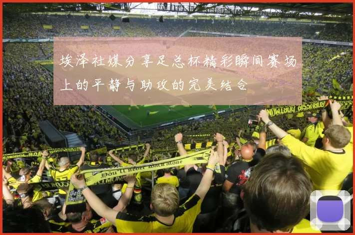 埃泽社媒分享足总杯精彩瞬间赛场上的平静与助攻的完美结合