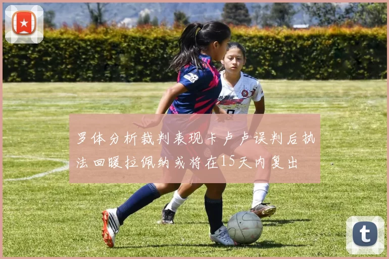 罗体分析裁判表现卡卢卢误判后执法回暖拉佩纳或将在15天内复出
